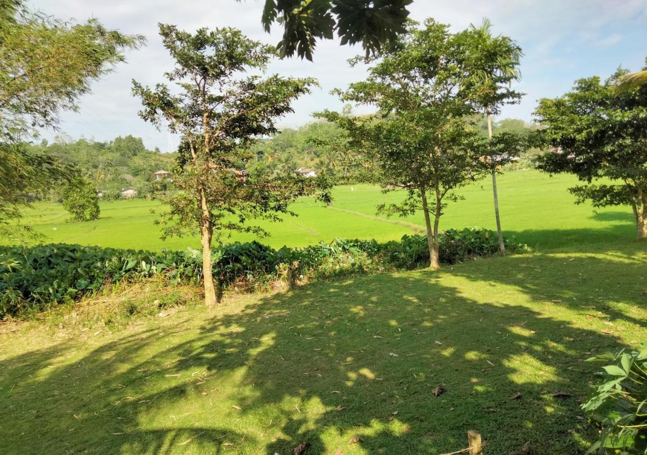 Villa Peacock Walahanduwa 外观 照片